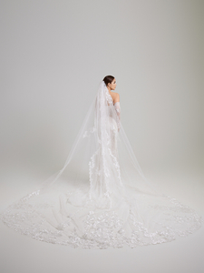 Spiky rusty long-tailed veil