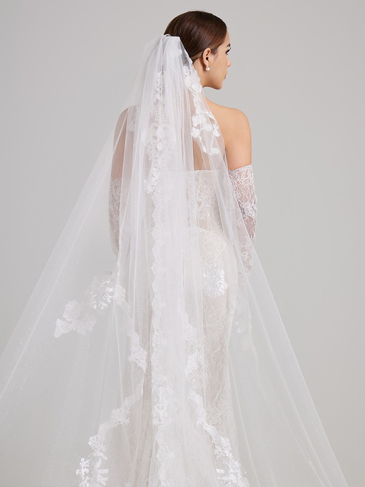 Spiky rusty long-tailed veil