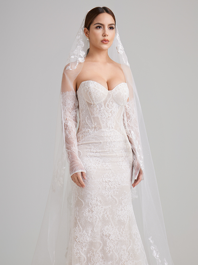 Spiky rusty long-tailed veil