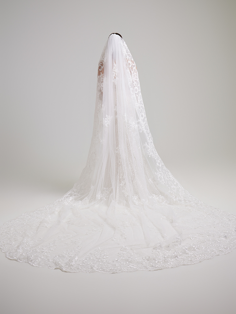 Long-tailed and long-headed veil