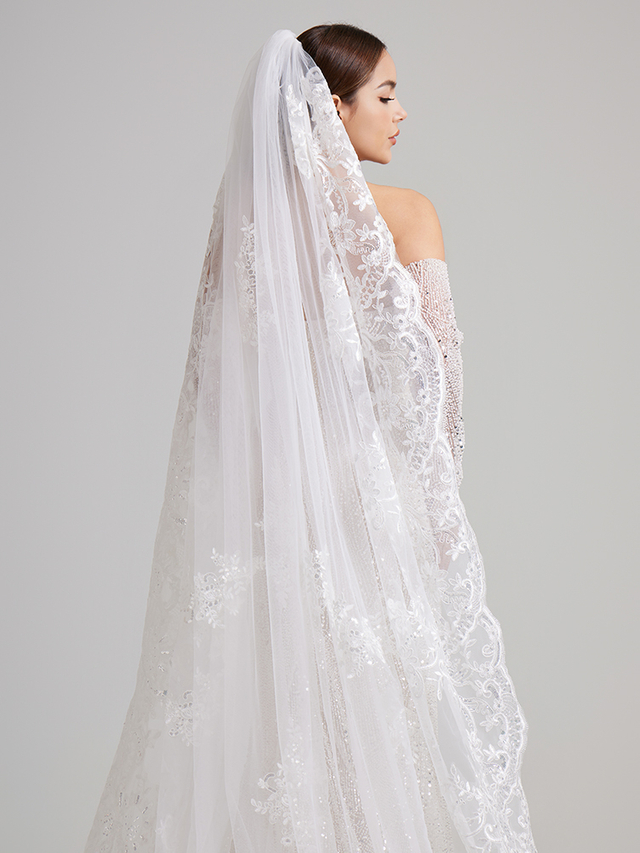 Long-tailed and long-headed veil